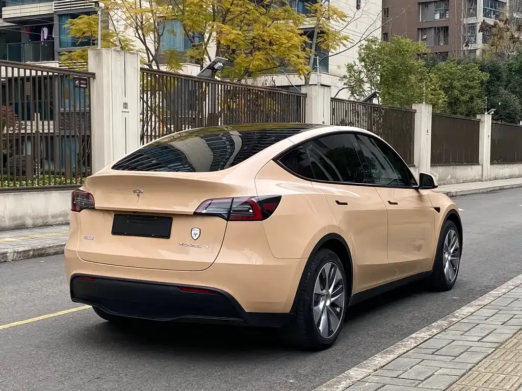 Tesla Model Y 2022 из CN, фото 6