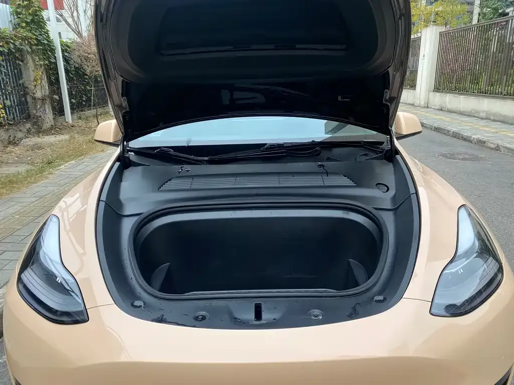 Tesla Model Y 2022 из CN, фото 4