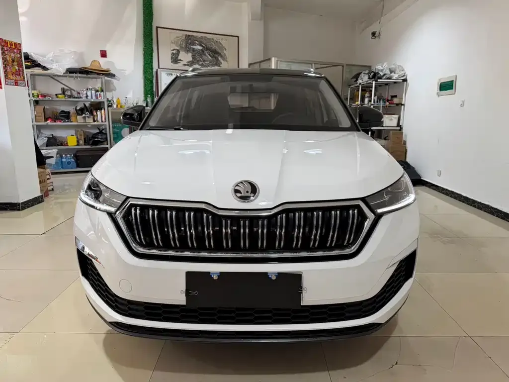 Skoda Kamiq 2022 из CN, фото 5