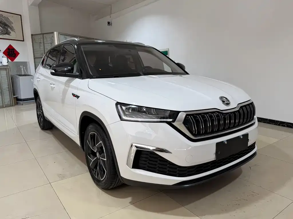 Skoda Kamiq 2022 из CN, фото 3