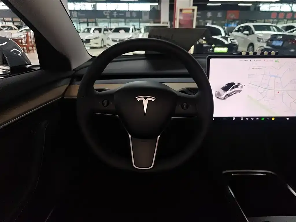 Tesla Model 3 2021 из CN, фото 5