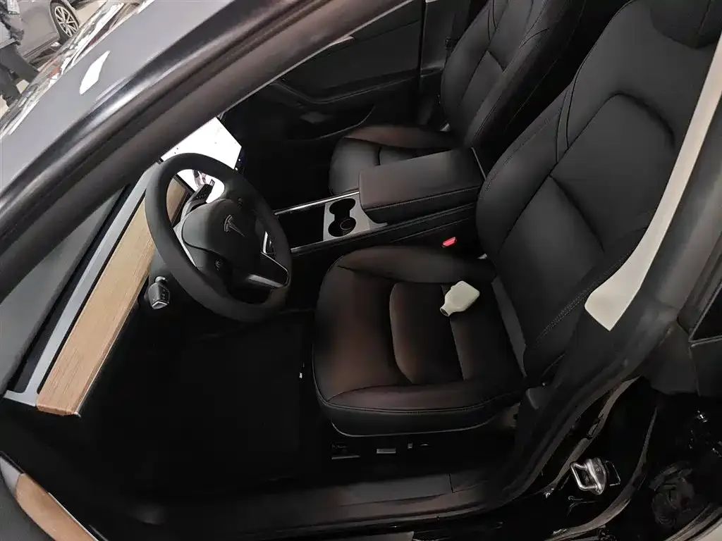 Tesla Model 3 2021 из CN, фото 4