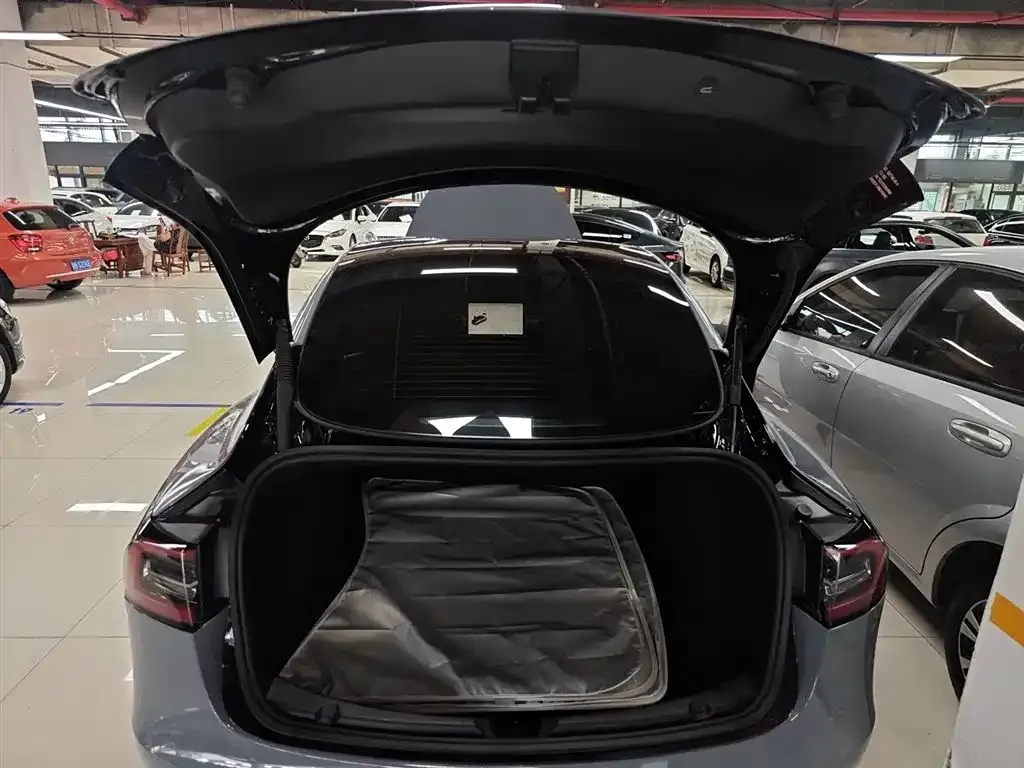 Tesla Model 3 2021 из CN, фото 9