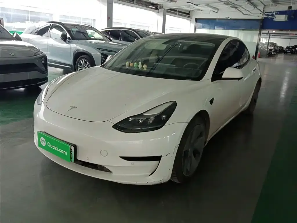 Tesla Model 3 2021 из CN, фото 1