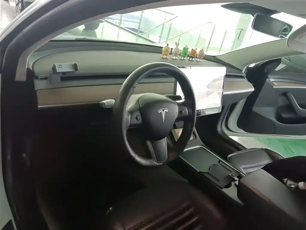Tesla Model 3 2021 из CN, фото 9