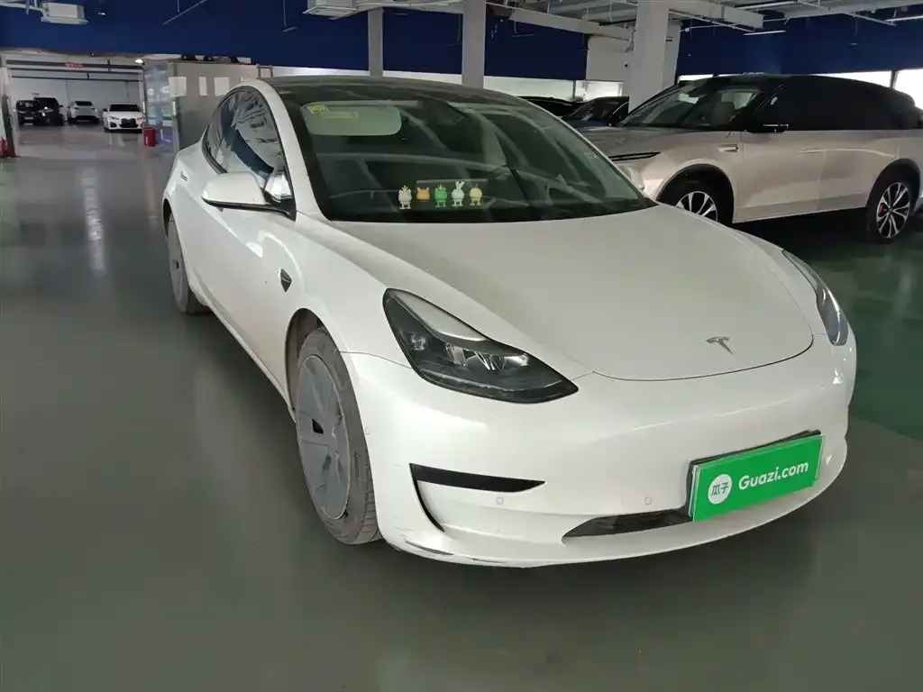 Tesla Model 3 2021 из CN, фото 8