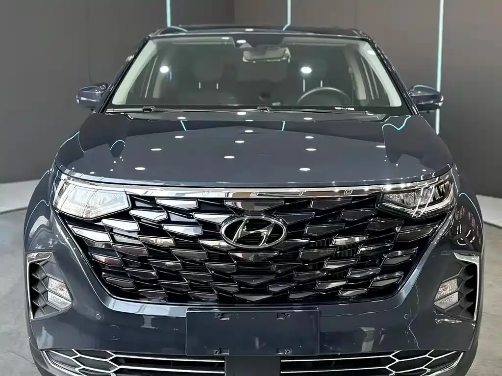 Hyundai Custo — фото 7