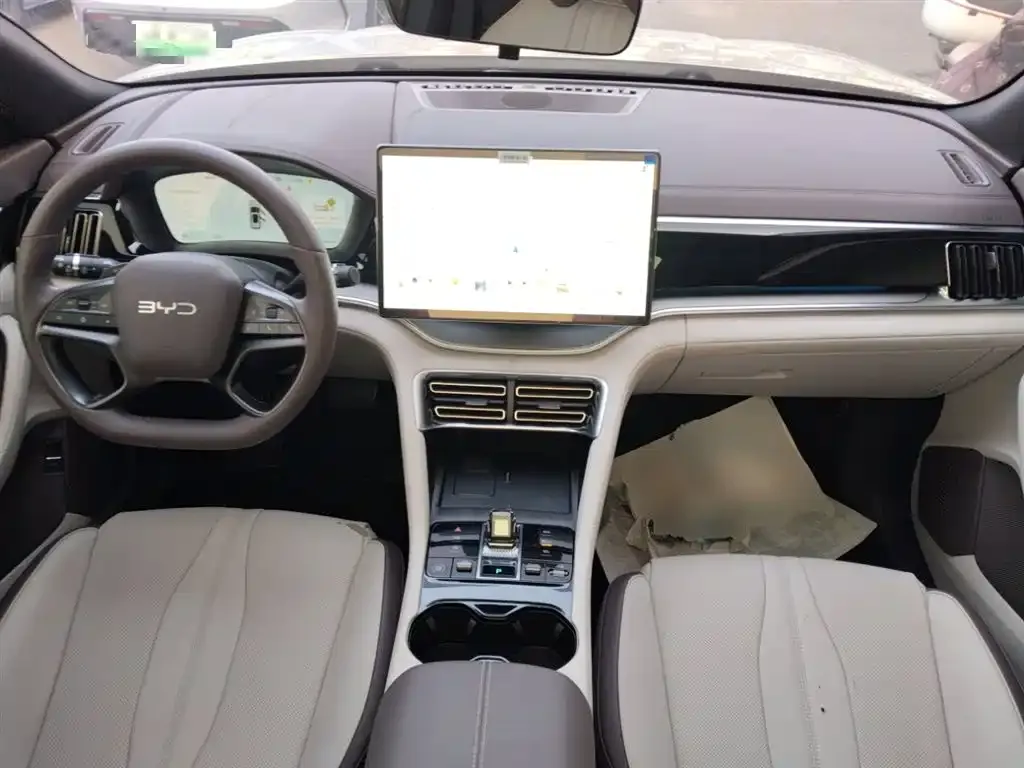 BYD PLUS New Energy 2025 из CN, фото 5