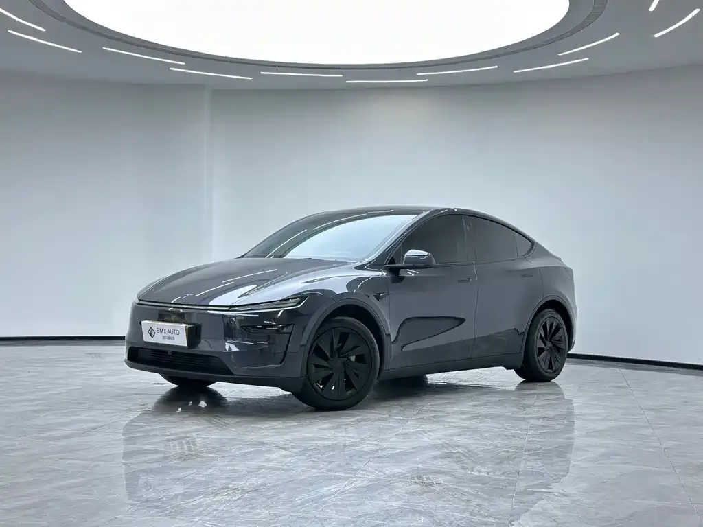 Tesla Model Y 2025 из CN, фото 1