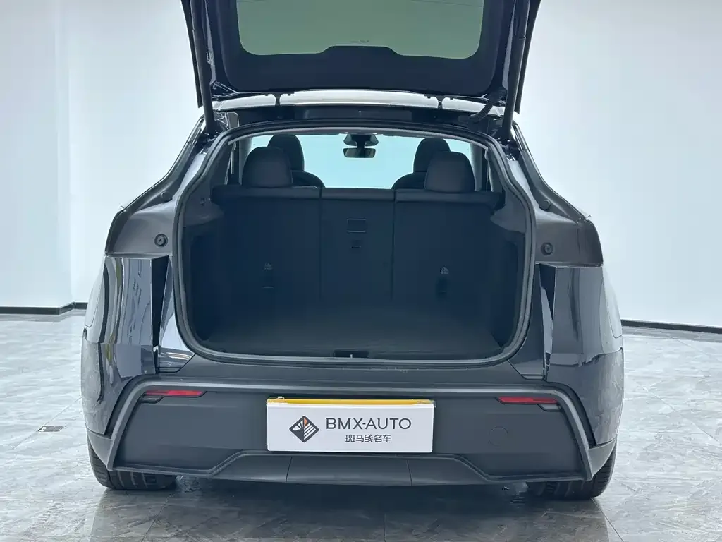 Tesla Model Y 2025 из CN, фото 2