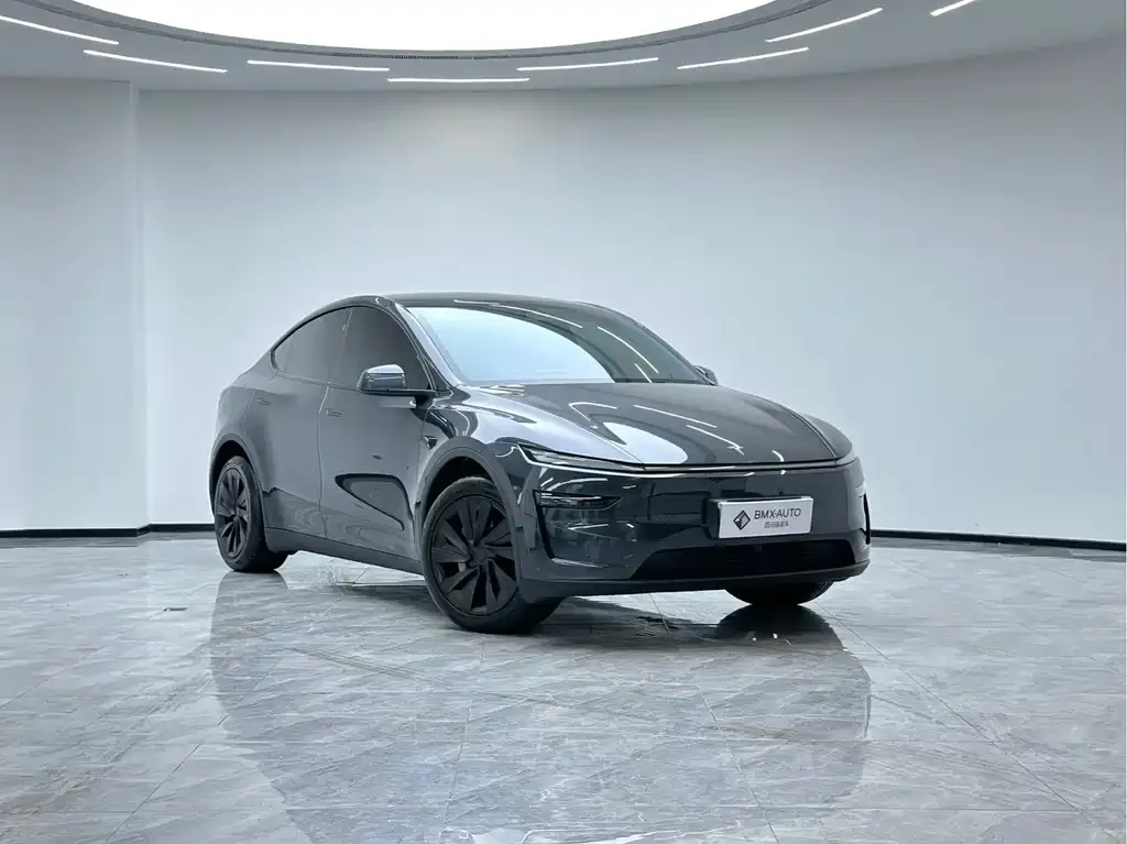 Tesla Model Y 2025 из CN, фото 4