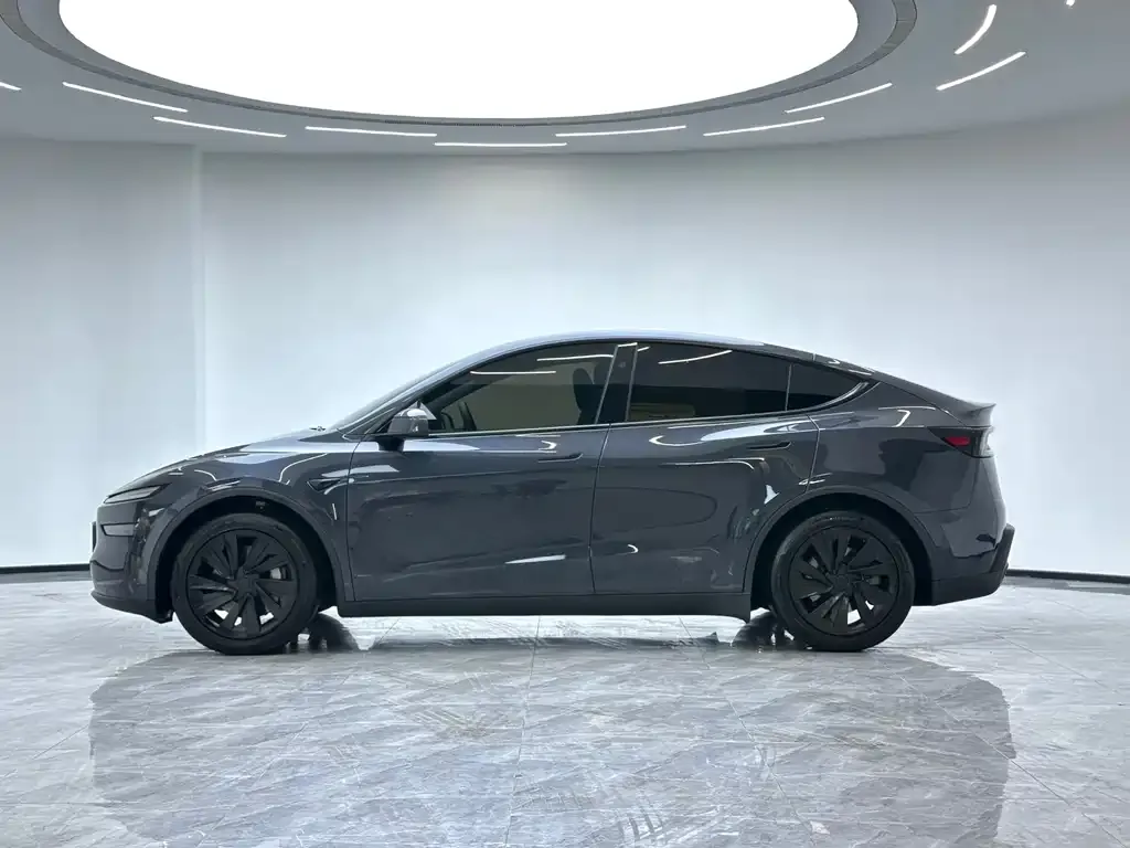 Tesla Model Y 2025 из CN, фото 6