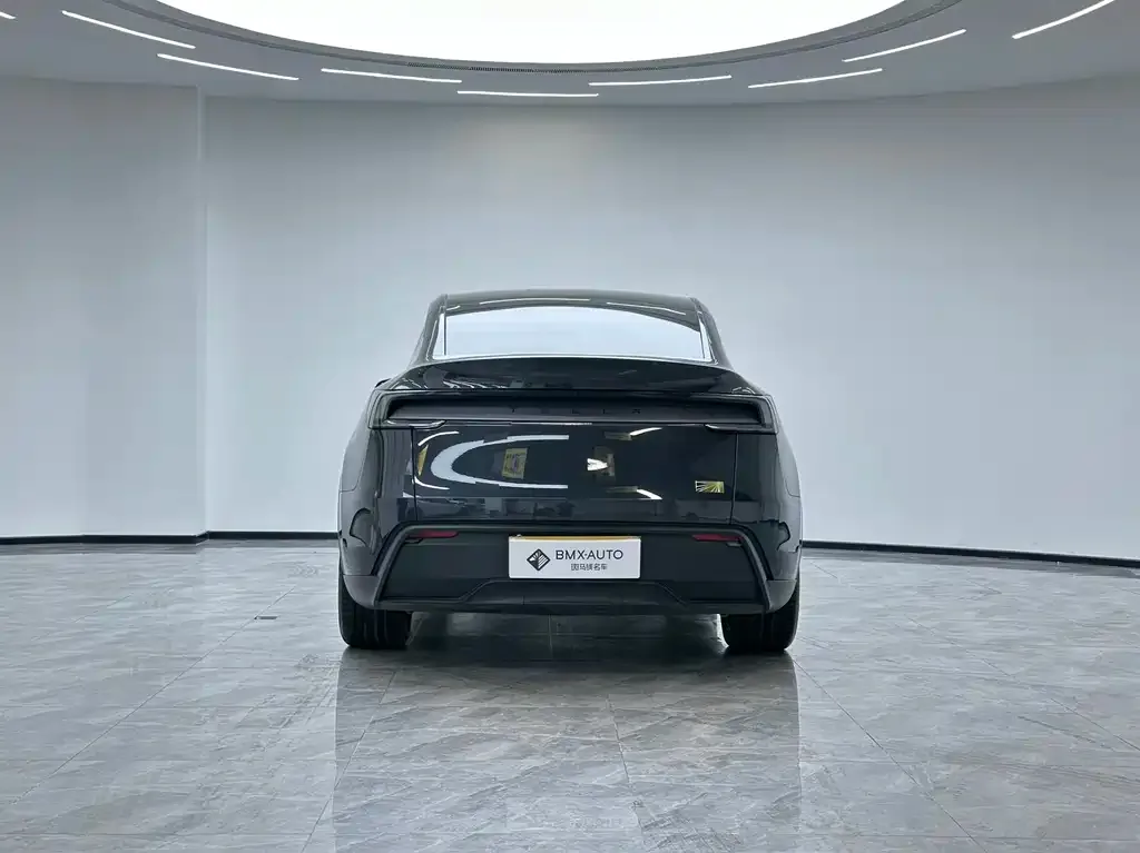 Tesla Model Y 2025 из CN, фото 5