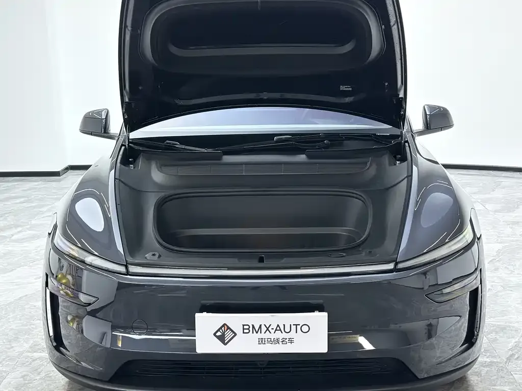 Tesla Model Y 2025 из CN, фото 9