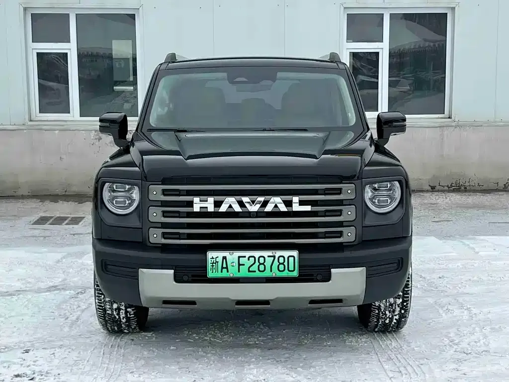 Haval Menglong New Energy 2025 из CN, фото 9