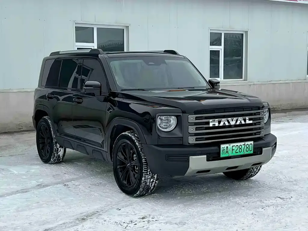 Haval Menglong New Energy 2025 из CN, фото 6