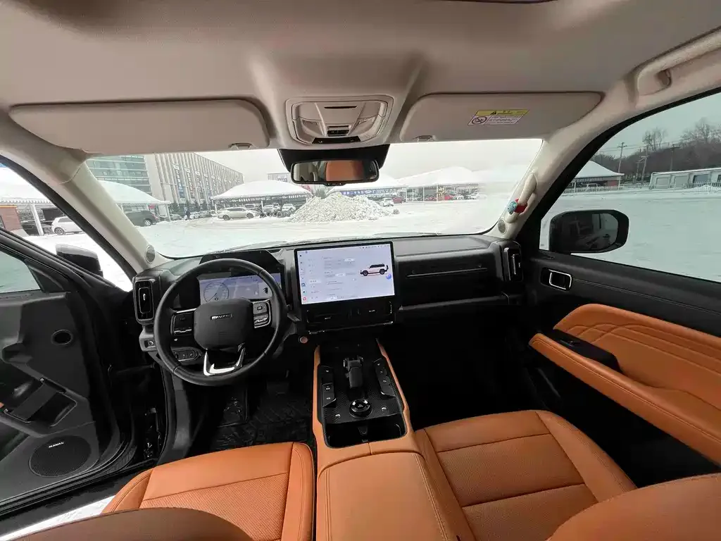 Haval Menglong New Energy 2025 из CN, фото 5