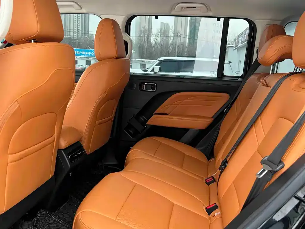 Haval Menglong New Energy 2025 из CN, фото 4