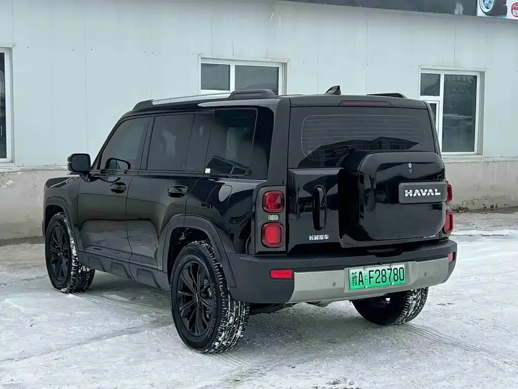 Haval Menglong New Energy 2025 из CN, фото 7