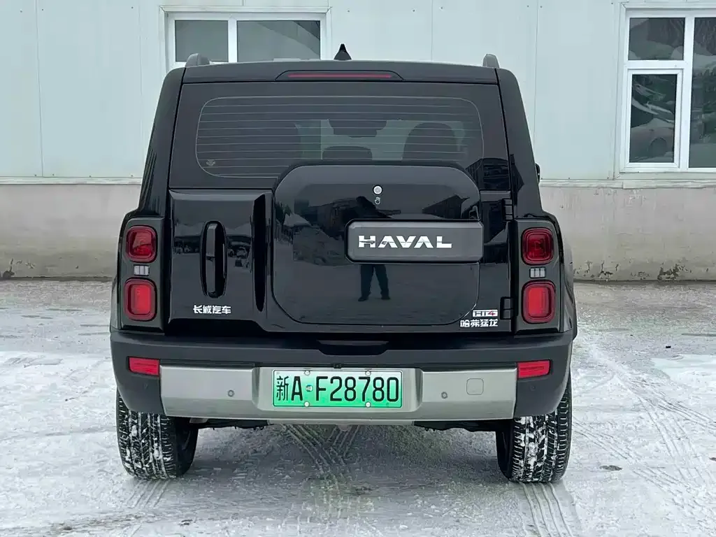 Haval Menglong New Energy 2025 из CN, фото 2
