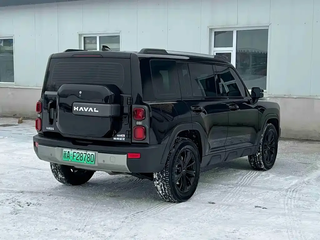 Haval Menglong New Energy 2025 из CN, фото 8