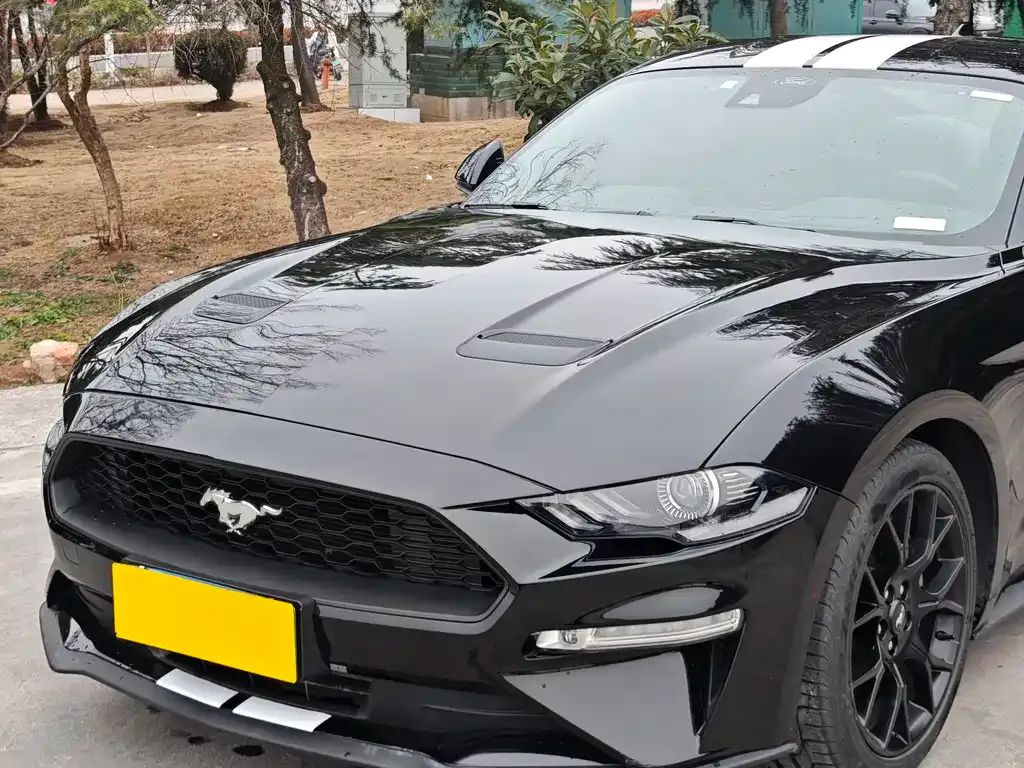 Ford Mustang 2022 из CN, фото 1