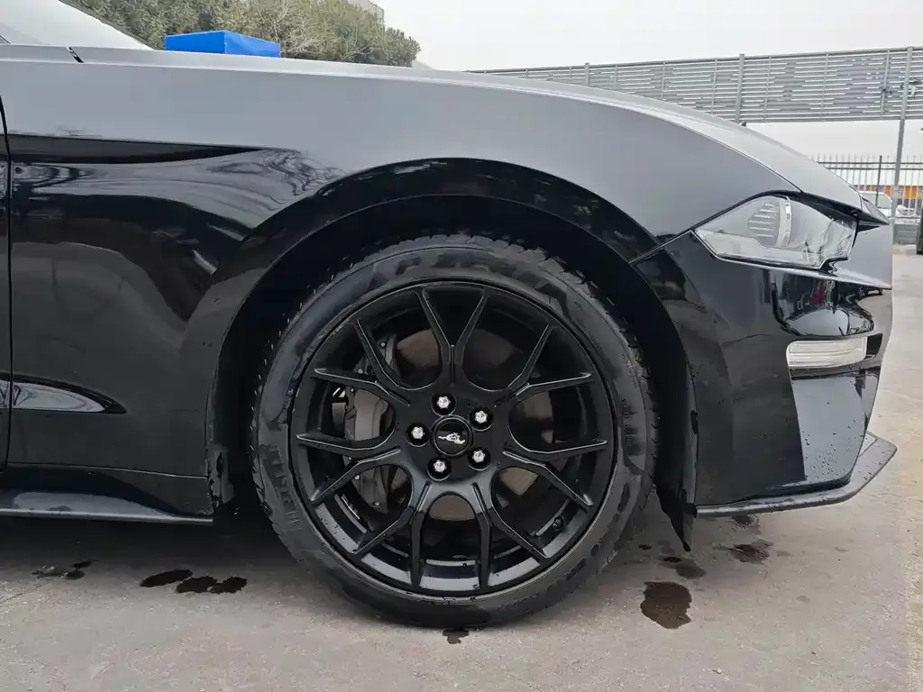 Ford Mustang 2022 из CN, фото 2