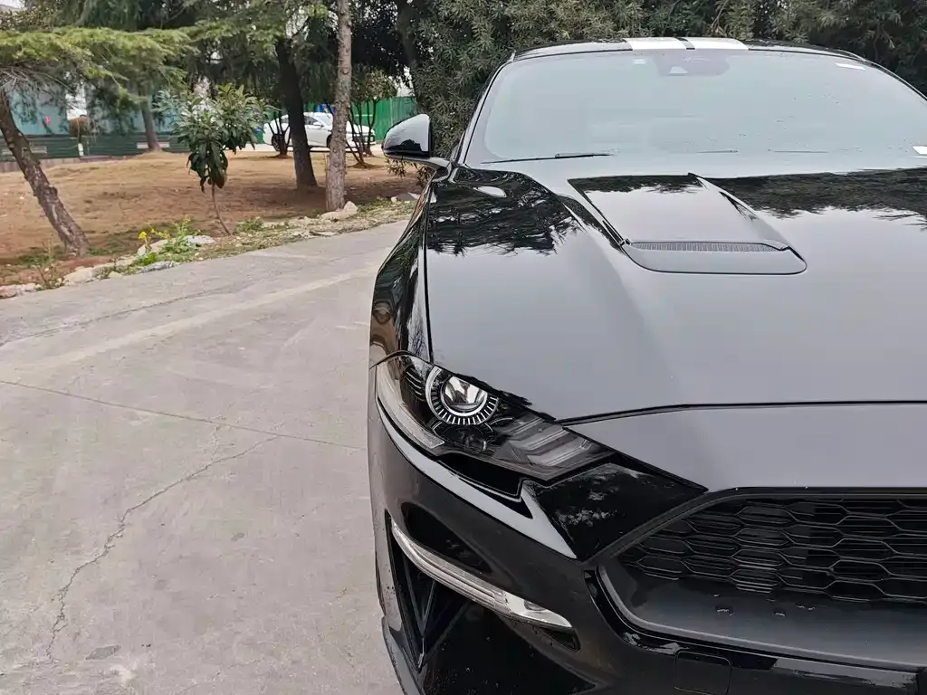 Ford Mustang 2022 из CN, фото 10