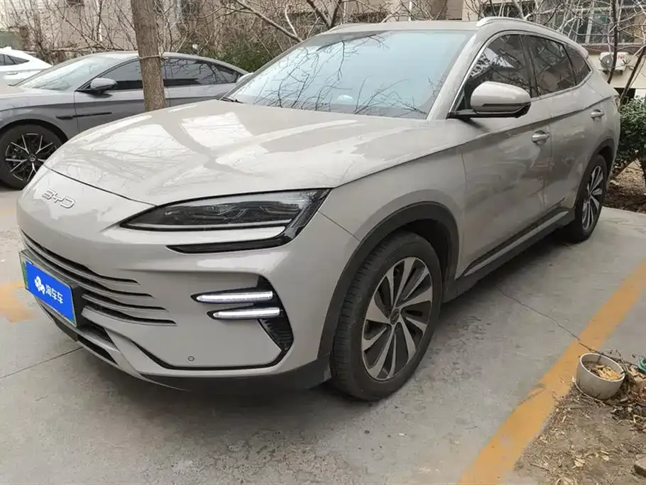 BYD PLUS New Energy 2023 из CN, фото 1