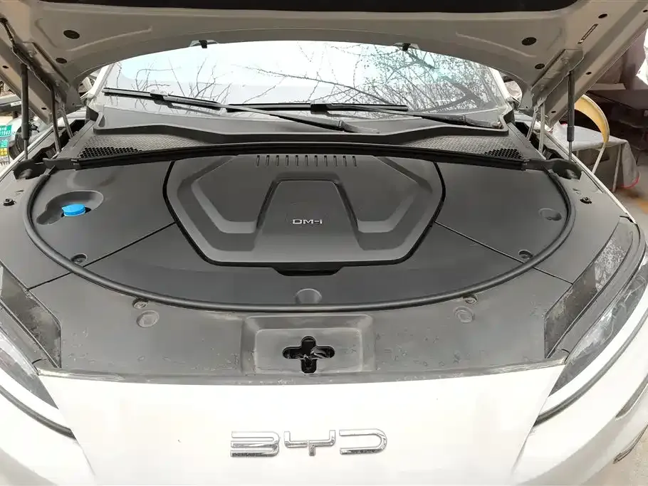BYD PLUS New Energy 2023 из CN, фото 5