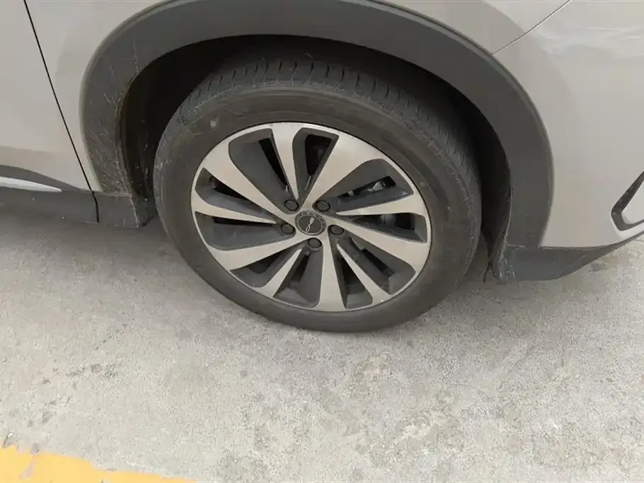 BYD PLUS New Energy 2023 из CN, фото 6