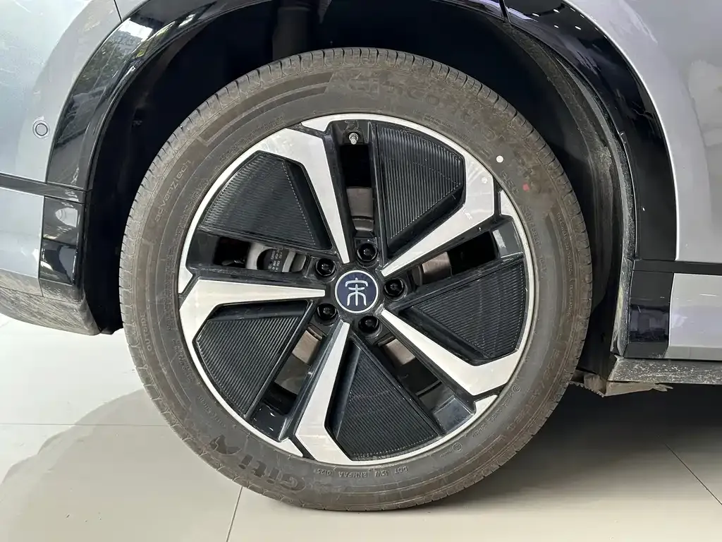 BYD L EV 2025 из CN, фото 5