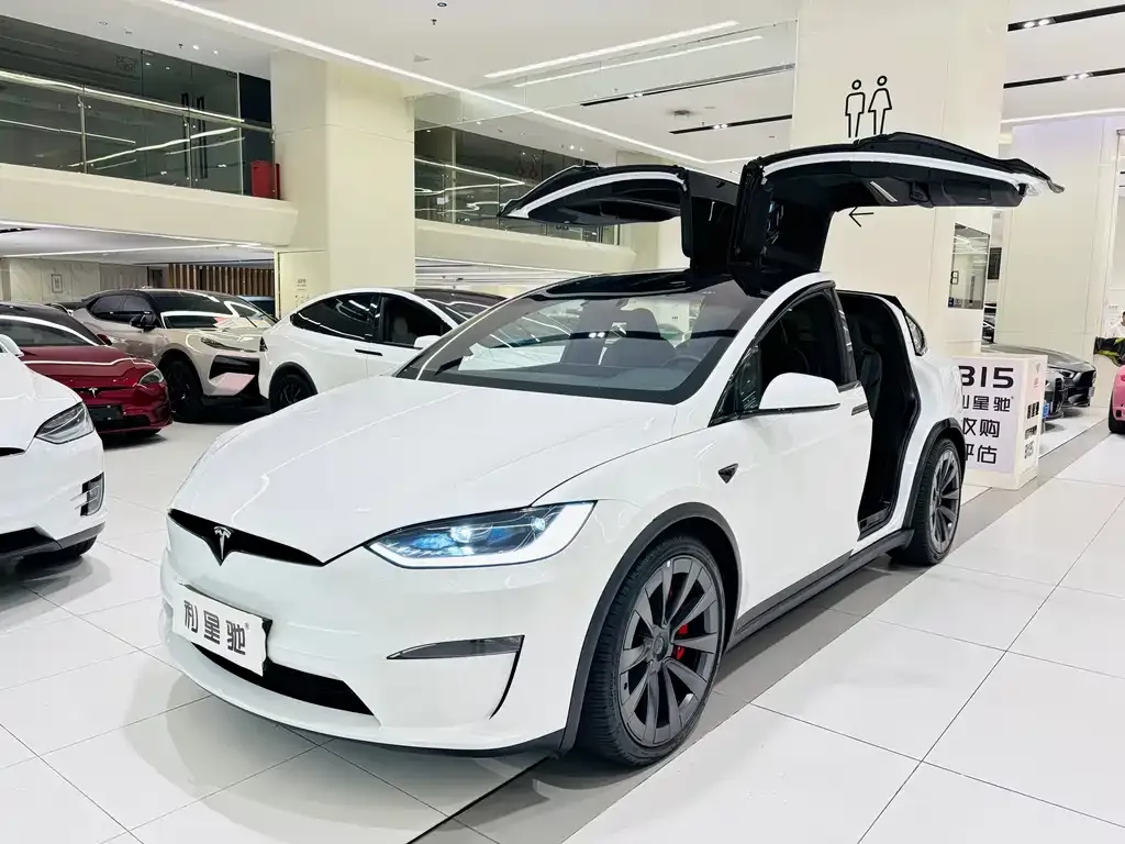 Tesla Model X 2023 из CN, фото 1