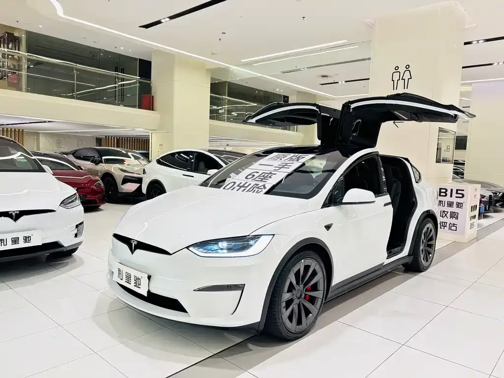 Tesla Model X 2023 из CN, фото 7