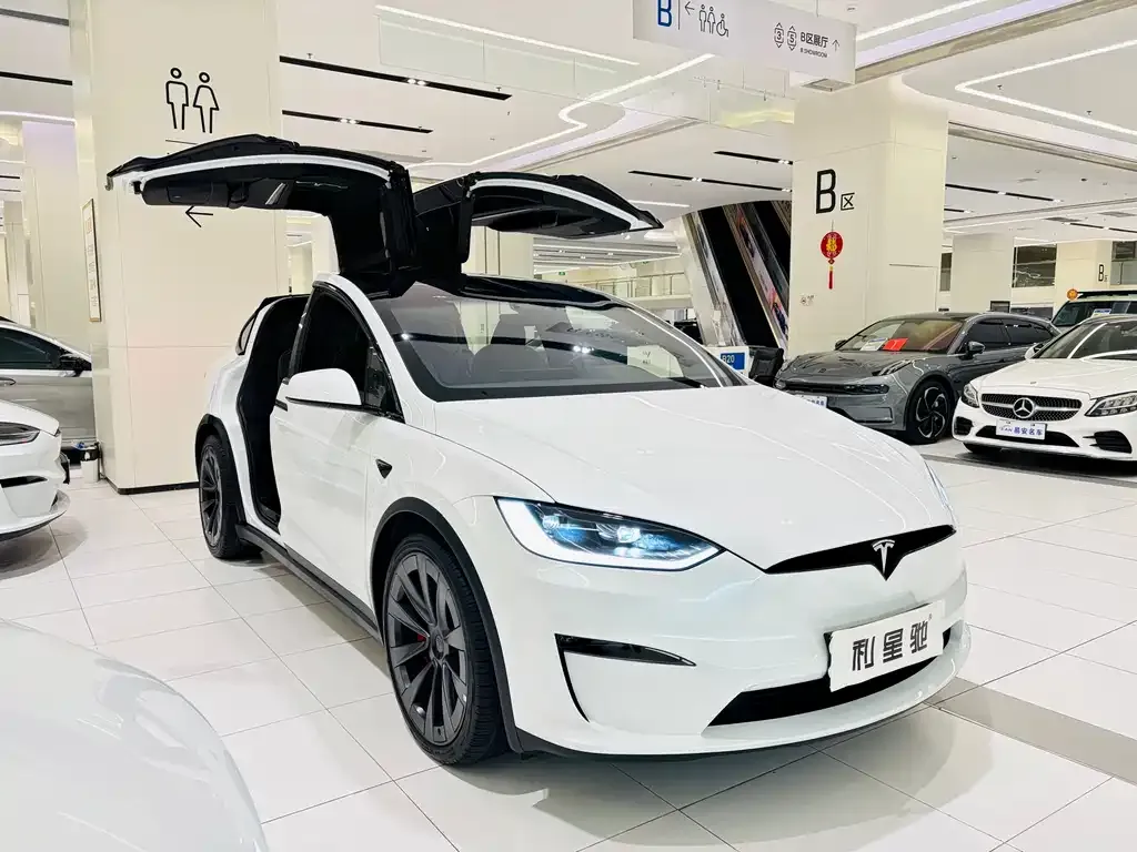 Tesla Model X 2023 из CN, фото 4