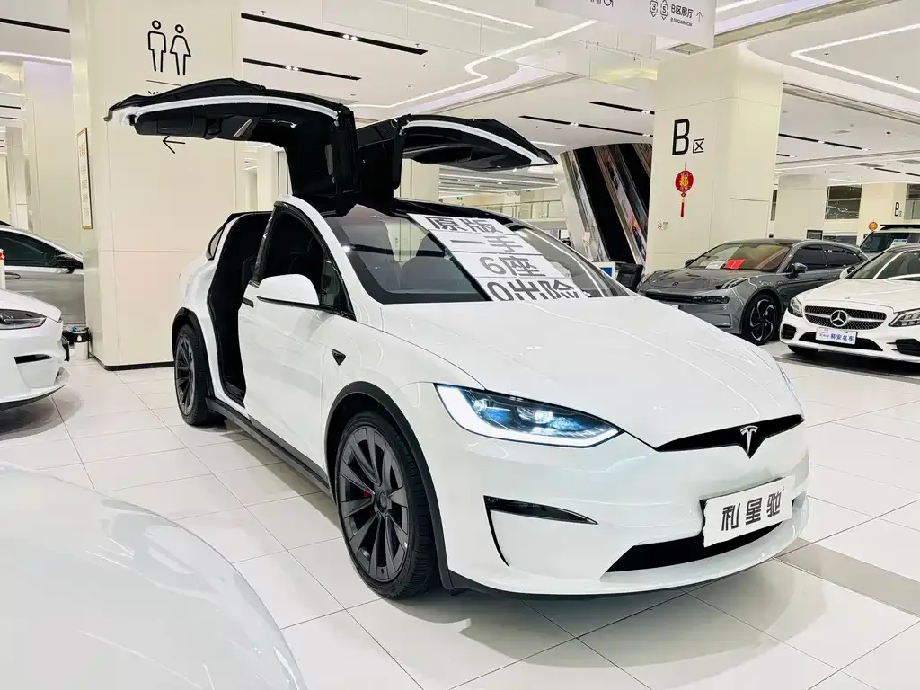 Tesla Model X 2023 из CN, фото 9