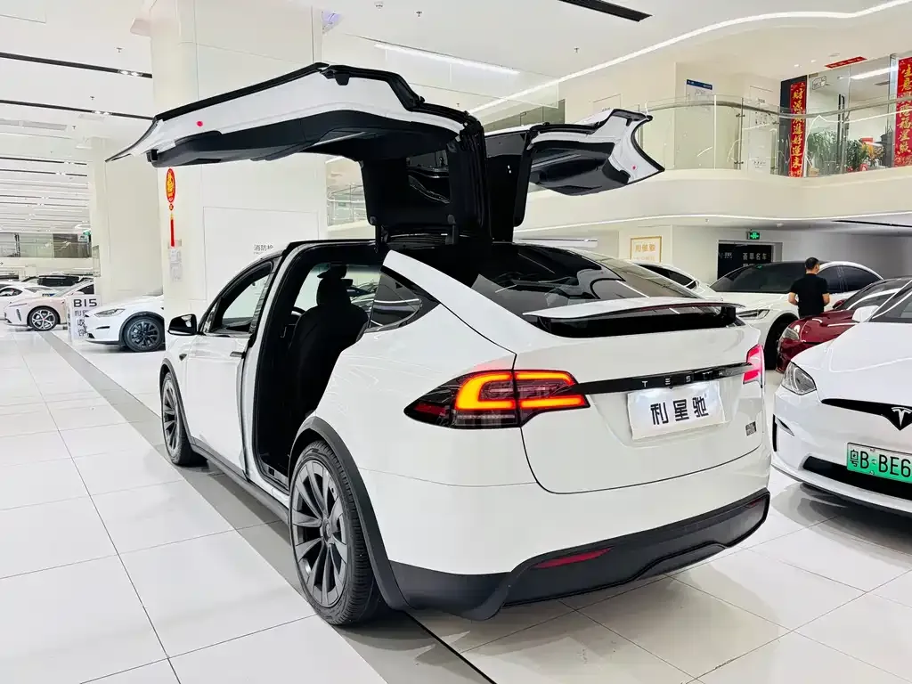 Tesla Model X 2023 из CN, фото 10
