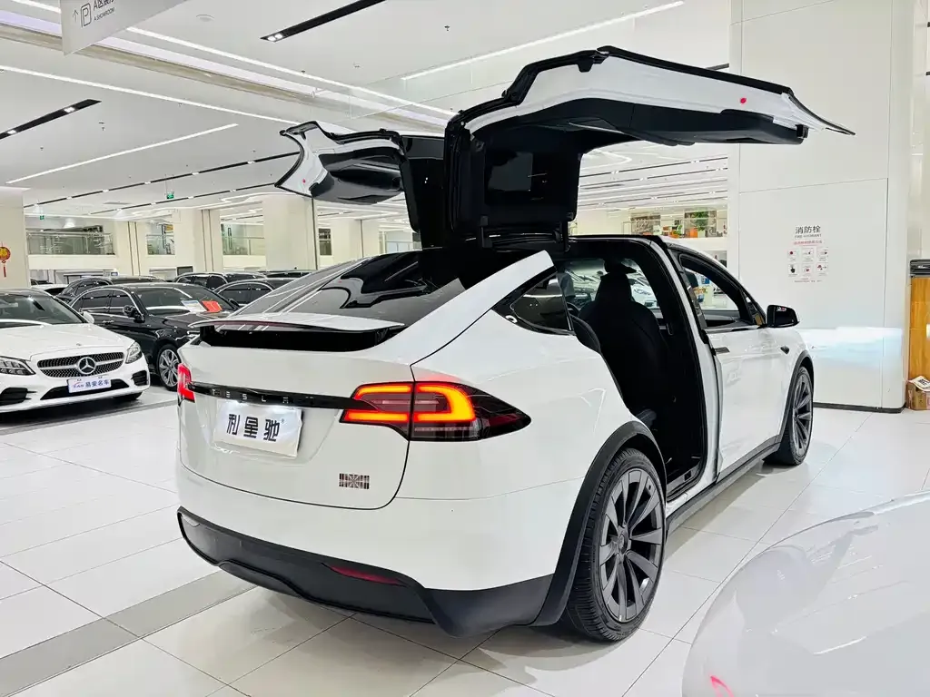 Tesla Model X 2023 из CN, фото 6