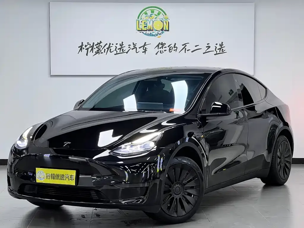 Tesla Model Y 2022 из CN, фото 1
