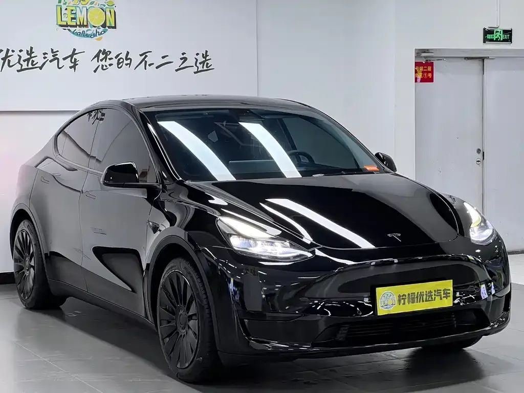 Tesla Model Y 2022 из CN, фото 4
