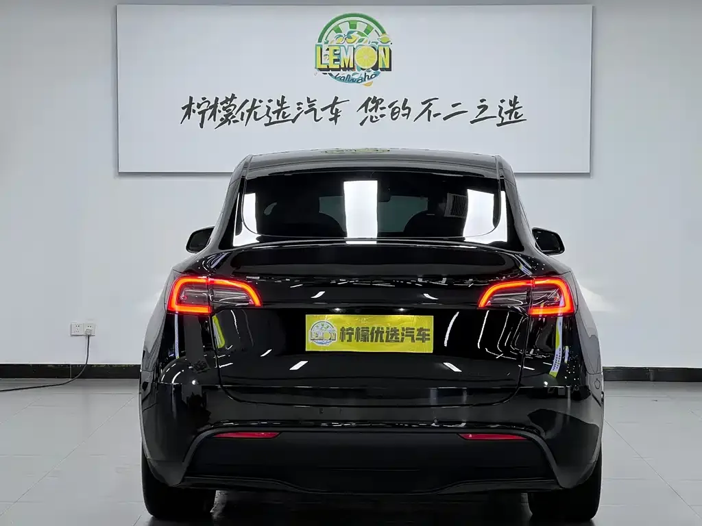 Tesla Model Y 2022 из CN, фото 9