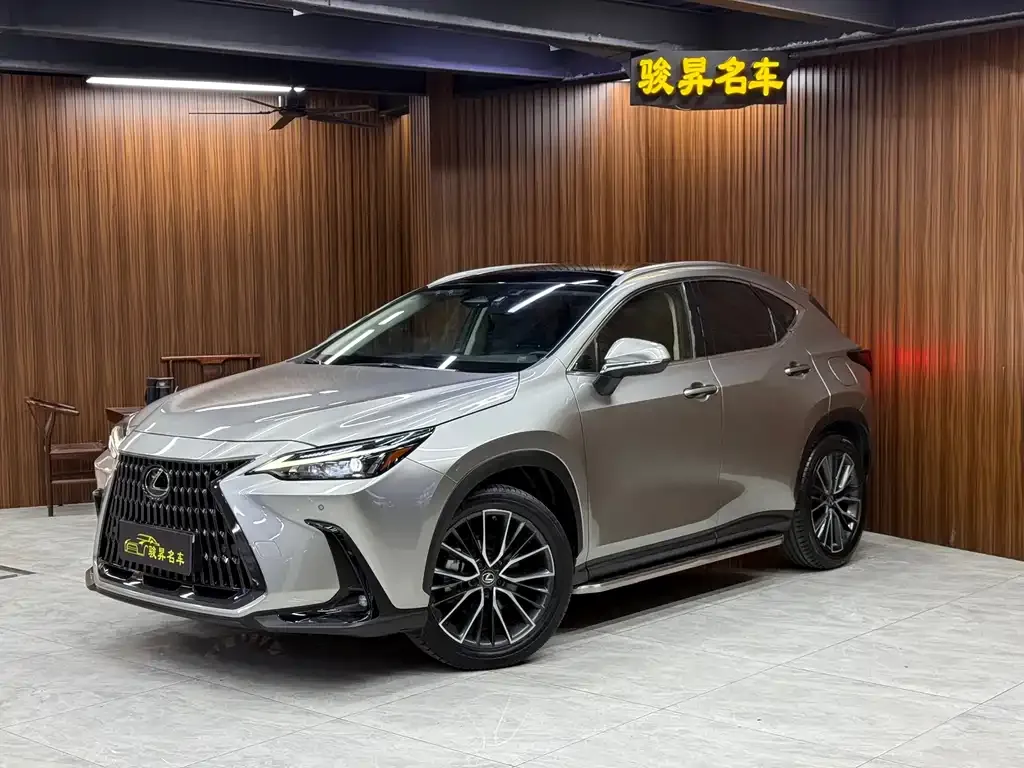 Lexus NX 2022 из CN, фото 1