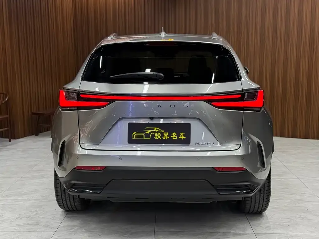 Lexus NX 2022 из CN, фото 2