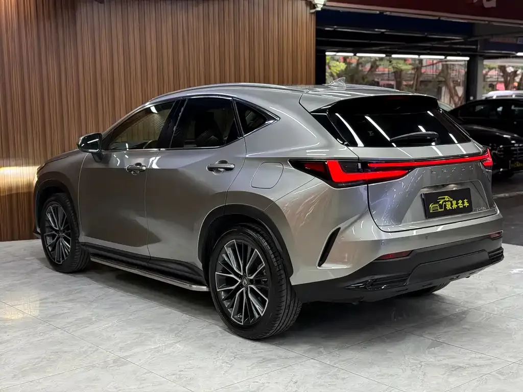Lexus NX 2022 из CN, фото 9