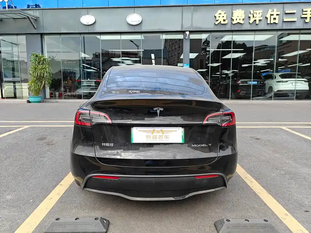 Tesla Model Y 2023 из CN, фото 5
