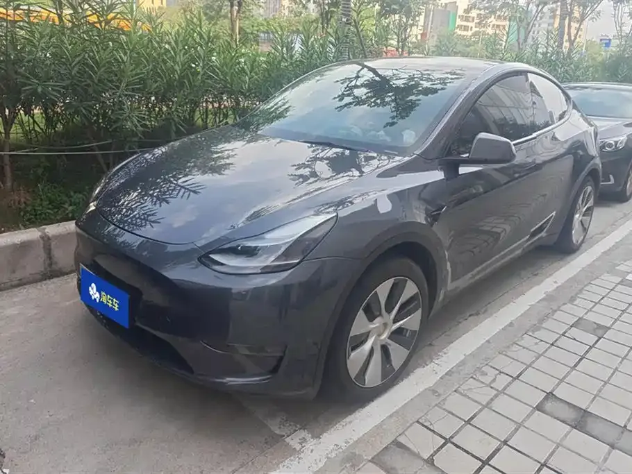 Tesla Model Y 2021 из CN, фото 1