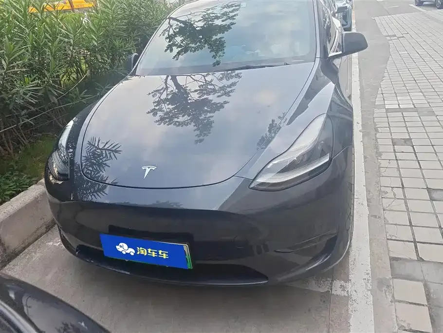 Tesla Model Y 2021 из CN, фото 9