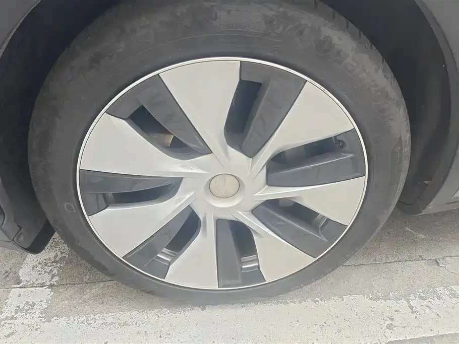 Tesla Model Y 2021 из CN, фото 6