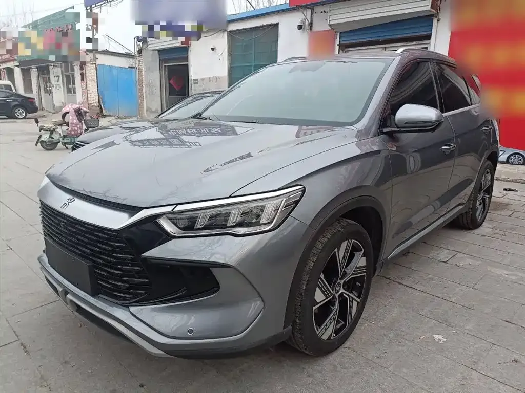 BYD Pro New Energy 2024 из CN, фото 1