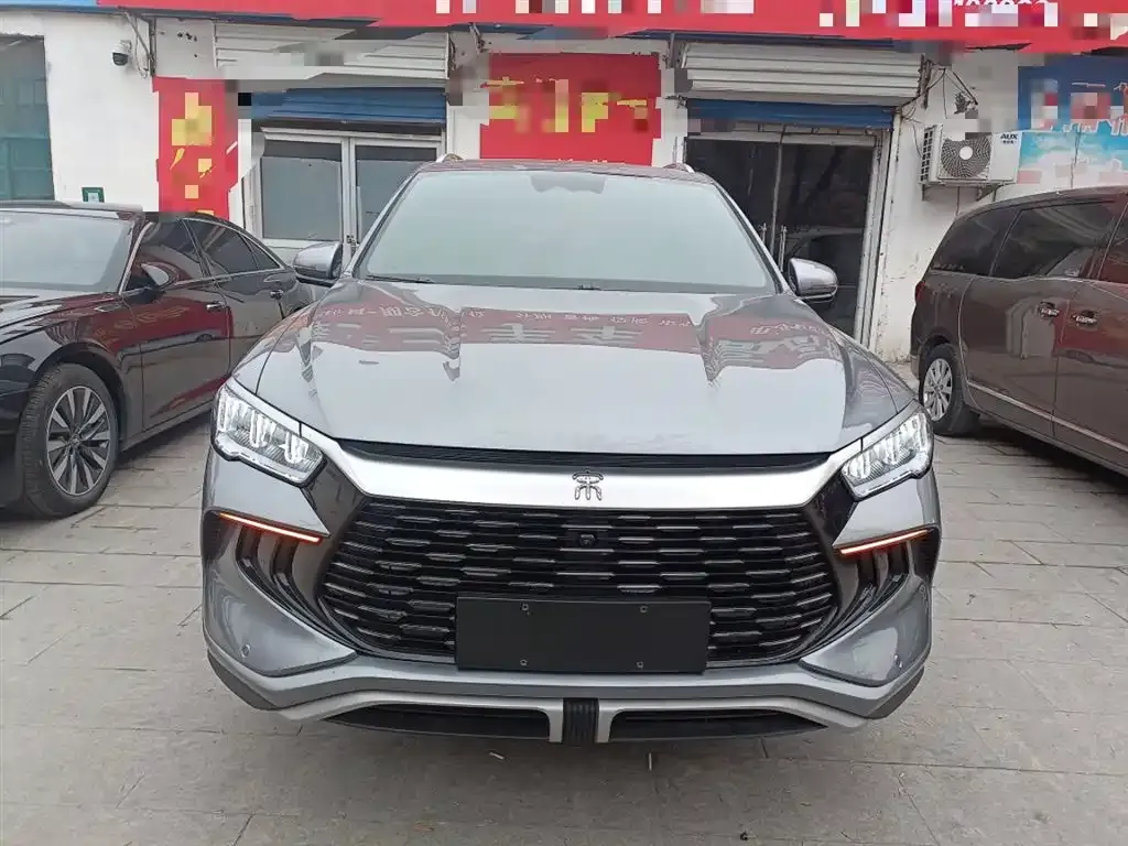 BYD Pro New Energy 2024 из CN, фото 3